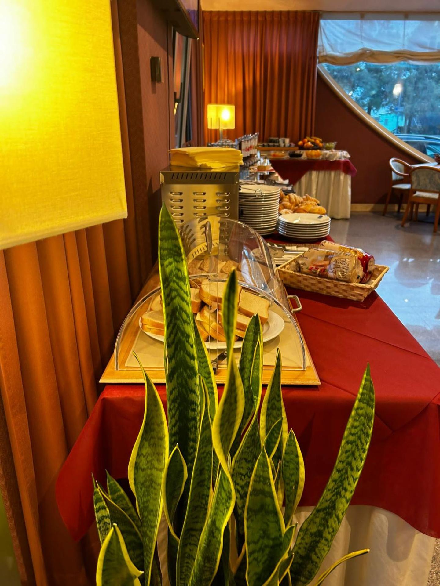 Hotel Maja - Photo 74