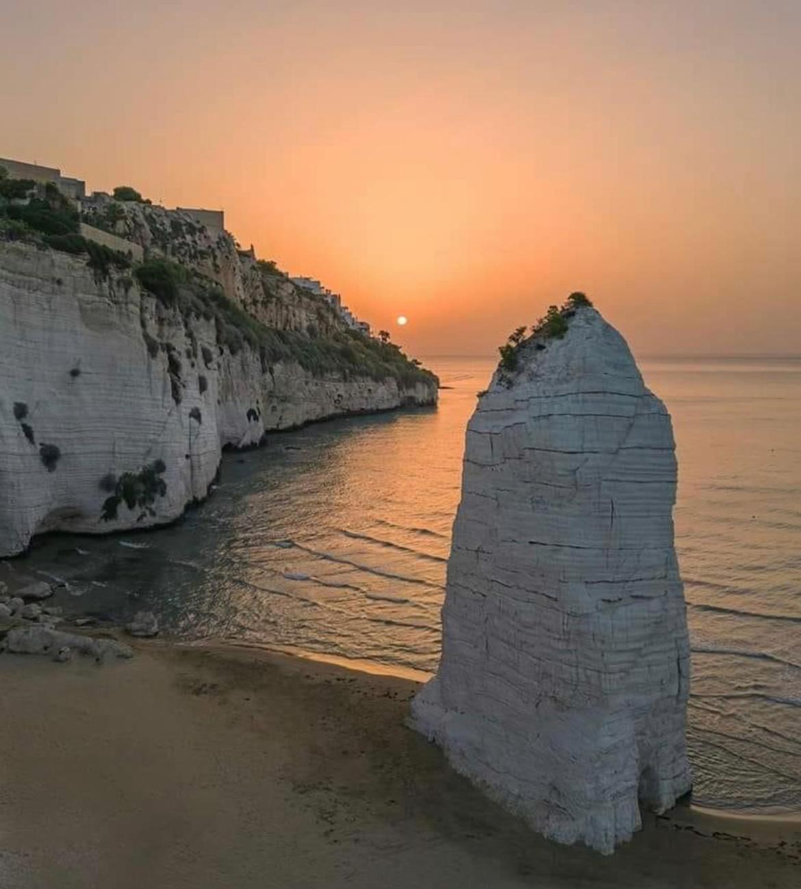 White Hotel - Photo 173