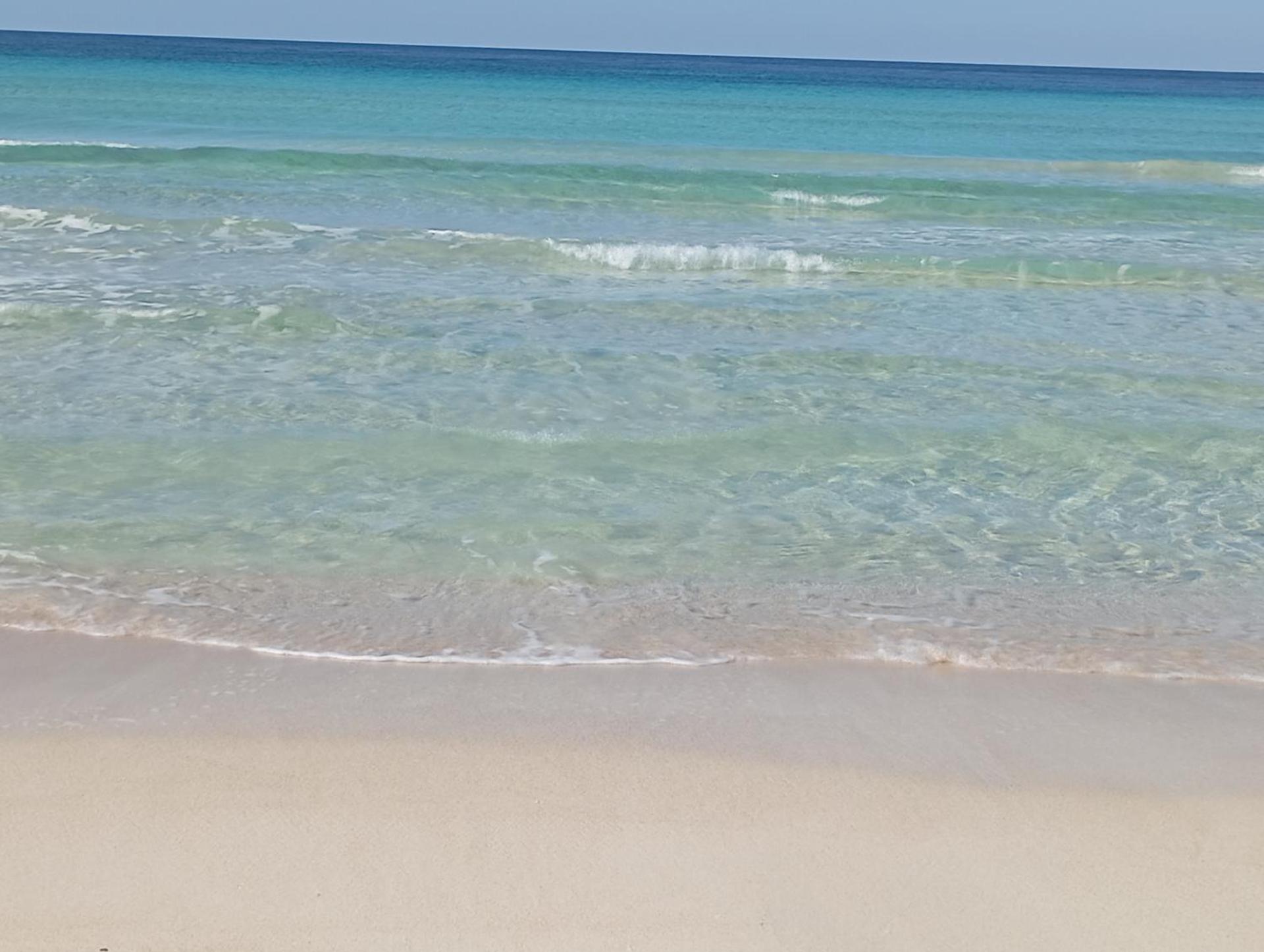 Agriturismo Il Pavone - Photo 14