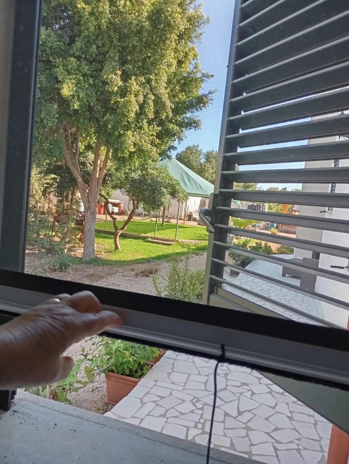 Agriturismo Il Pavone - Photo 11