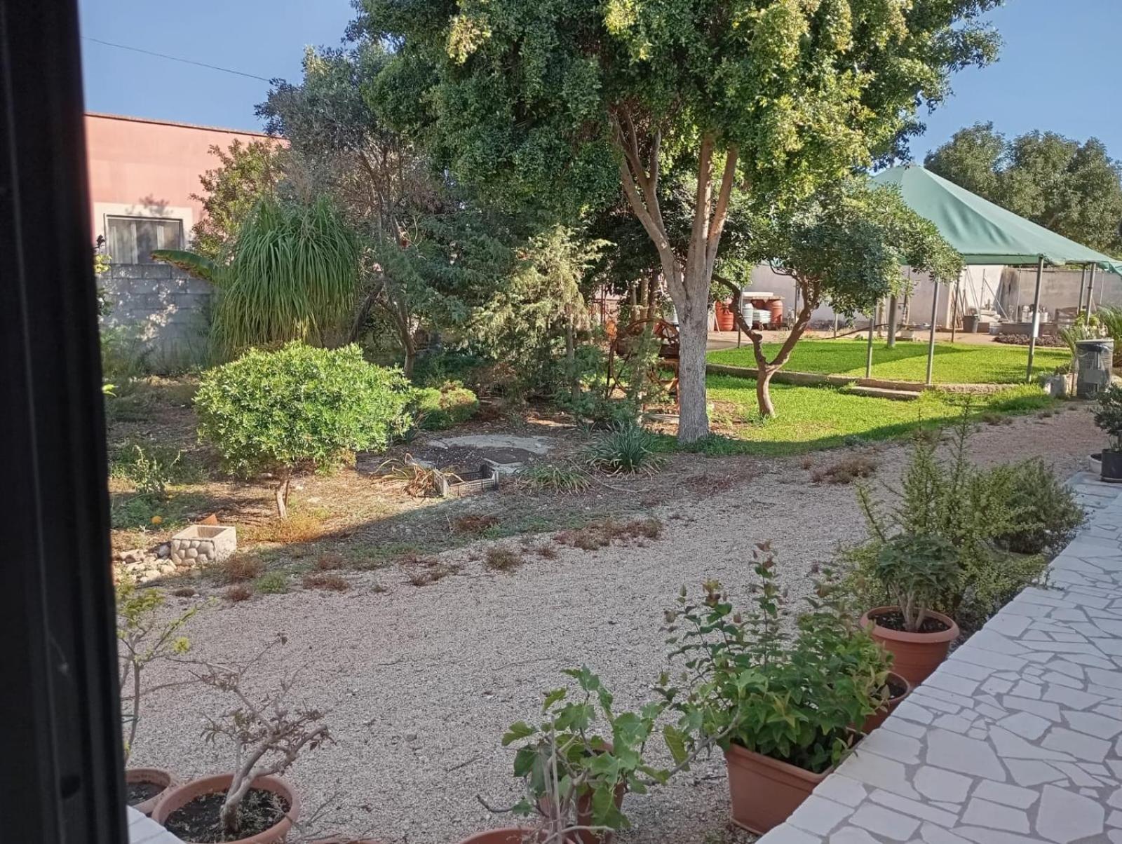 Agriturismo Il Pavone - Photo 10