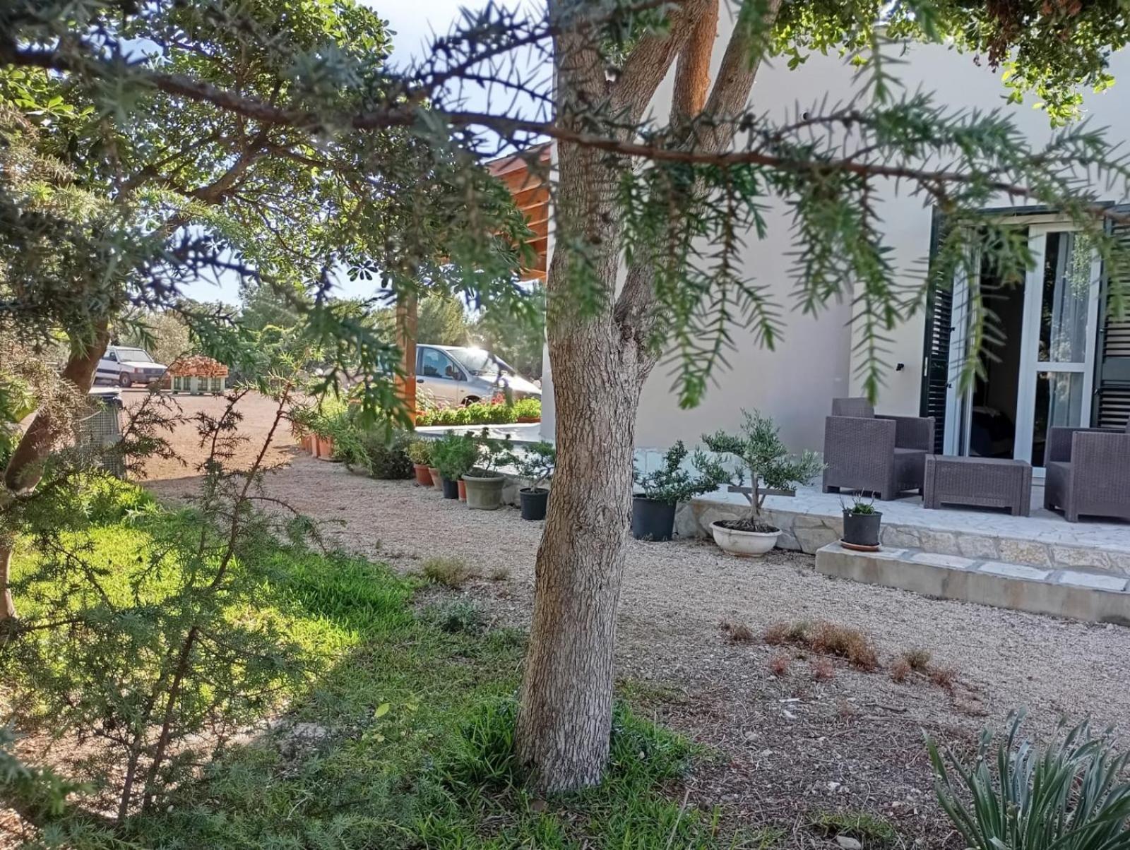 Agriturismo Il Pavone - Photo 40