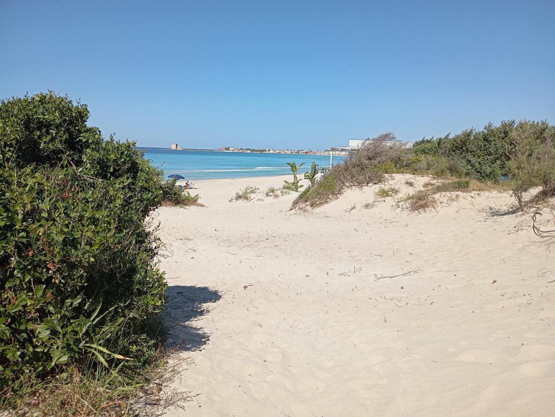 Agriturismo Il Pavone - Photo 8