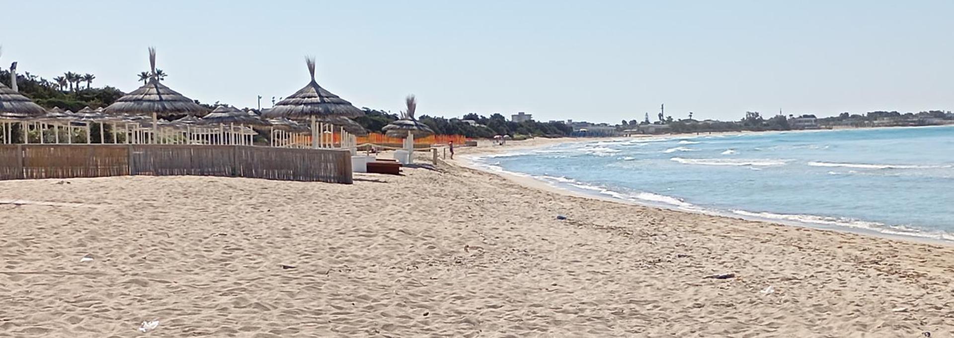 Agriturismo Il Pavone - Photo 6