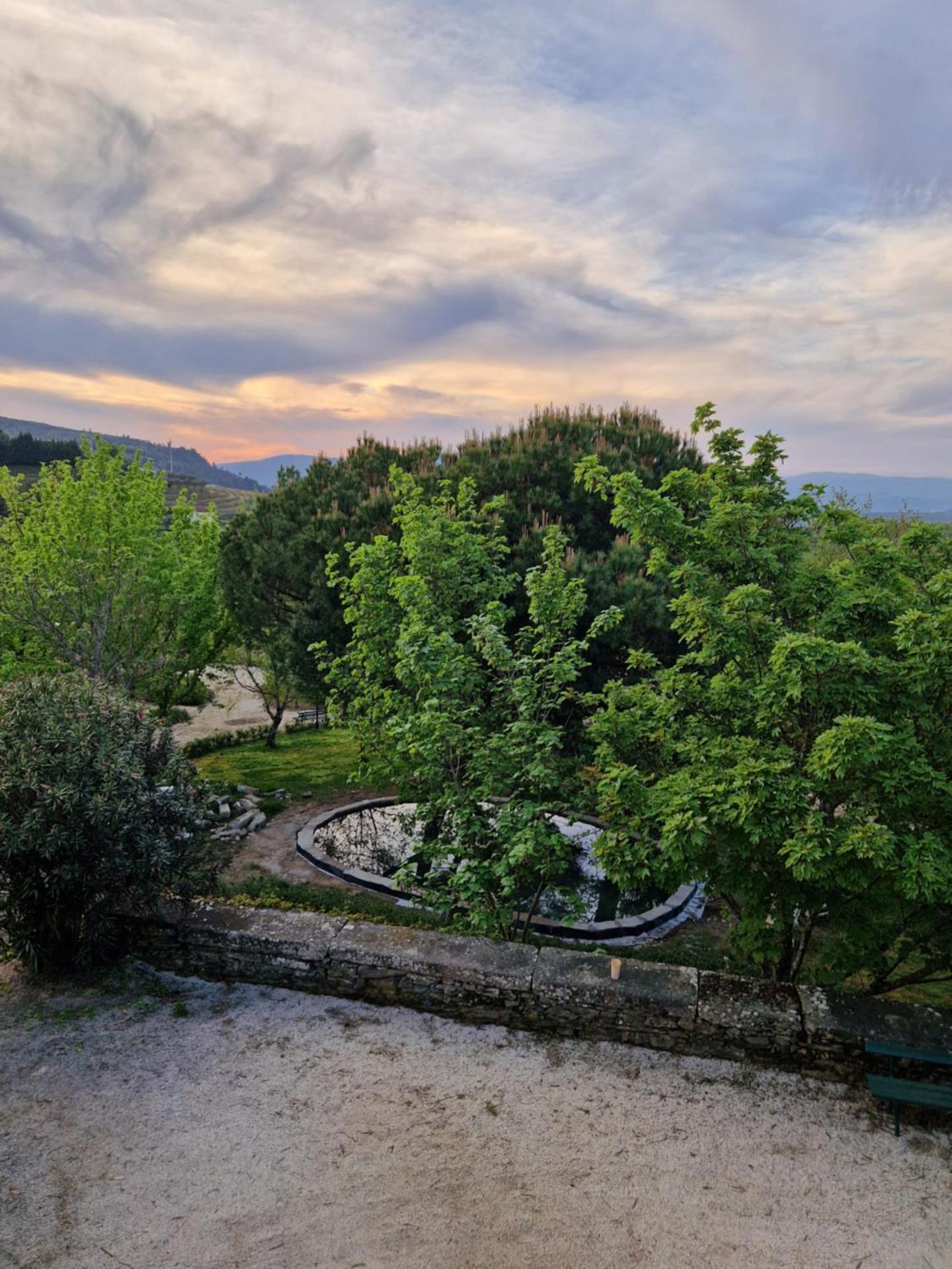 Casa de Sao Miguel Douro - Photo 154