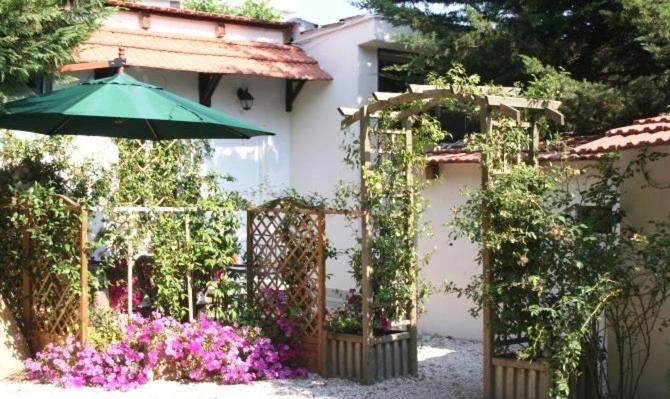 Albarosa - Photo 7