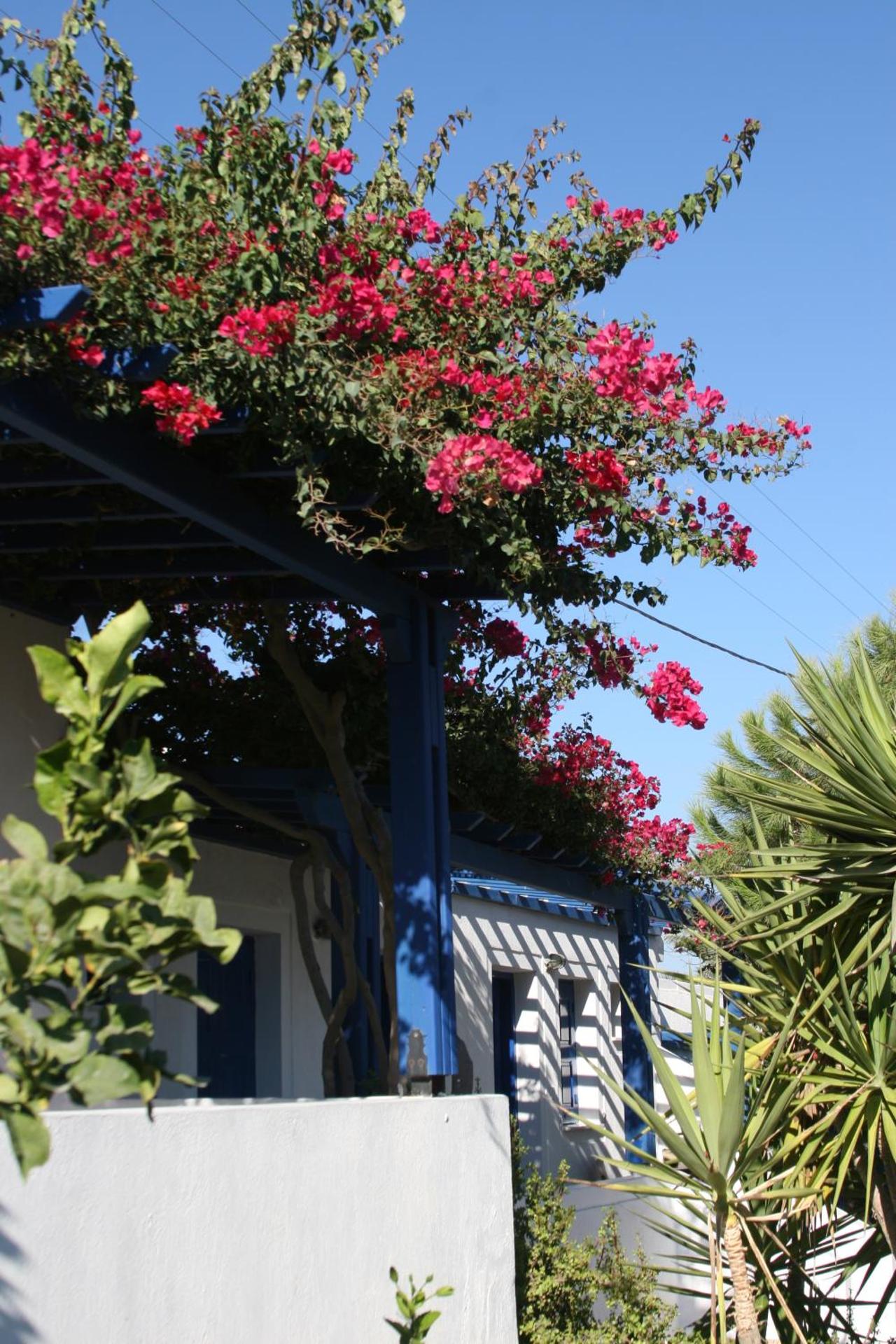 Hotel Mathios - Photo 12