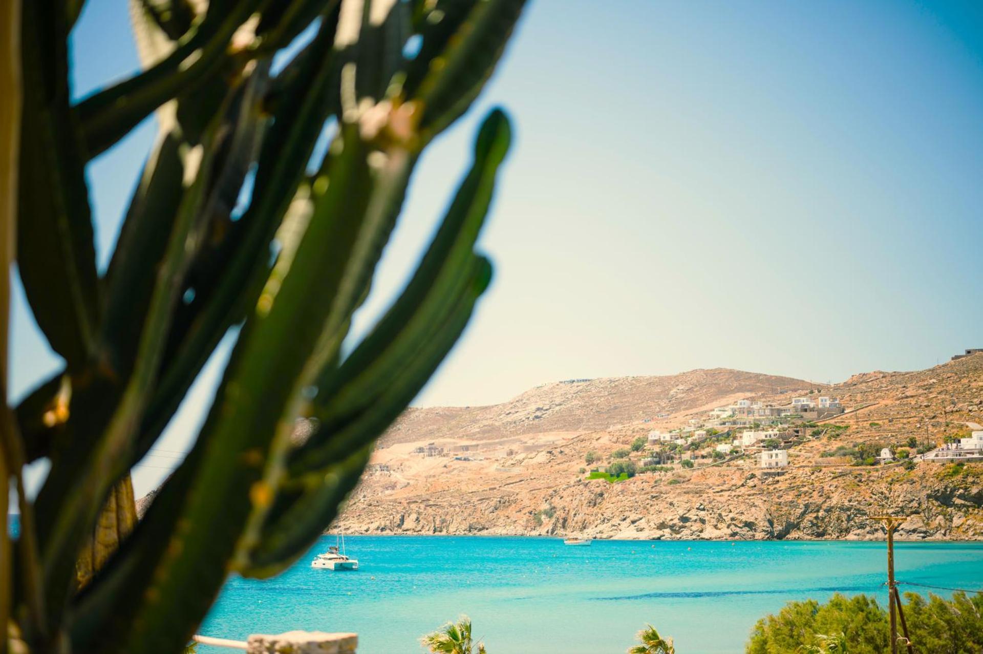 Sea Side Studios & Houses - Photo 17