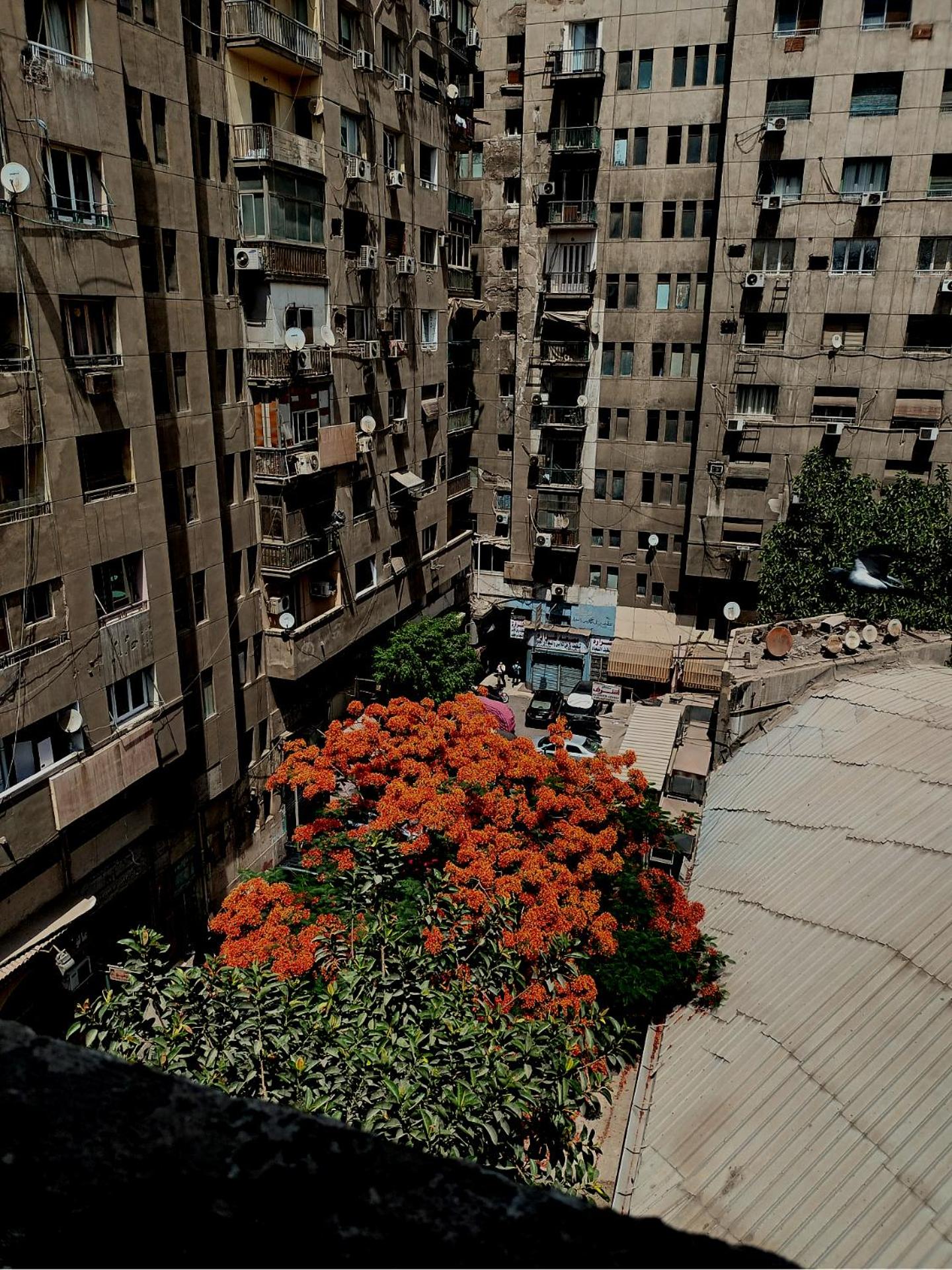 Noor Hotel - Photo 10