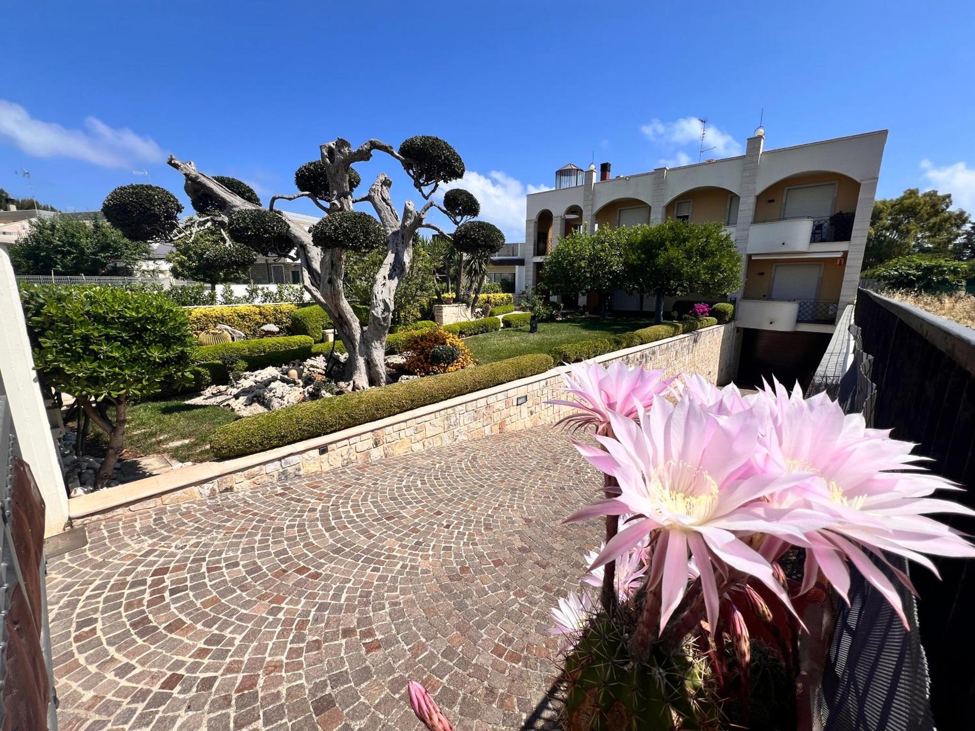 B&B La Rosa Blu - Photo 67