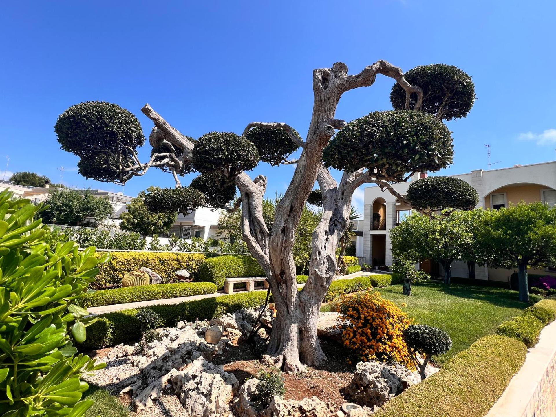 B&B La Rosa Blu - Photo 62