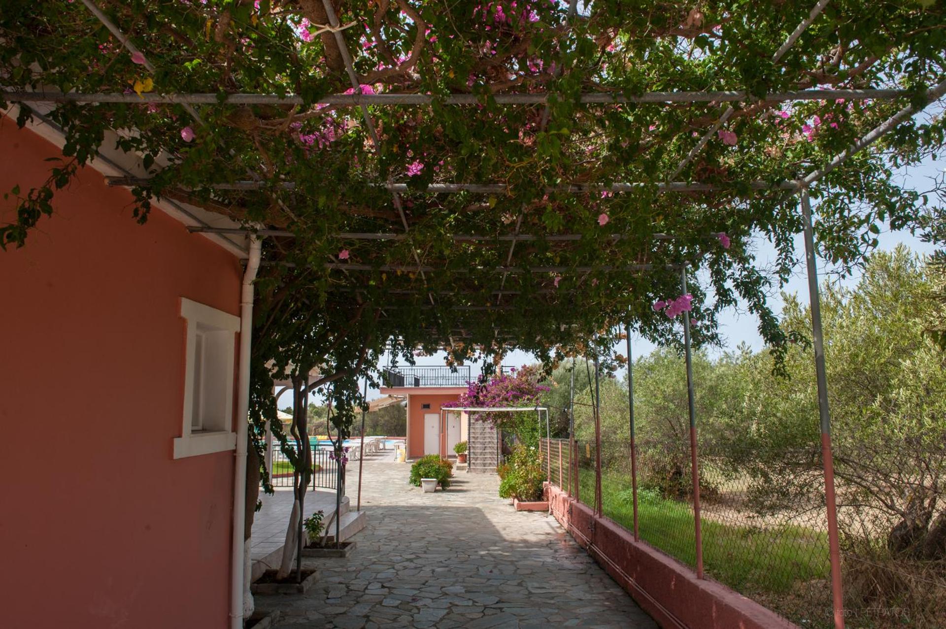 Paradise Studios - Photo 164