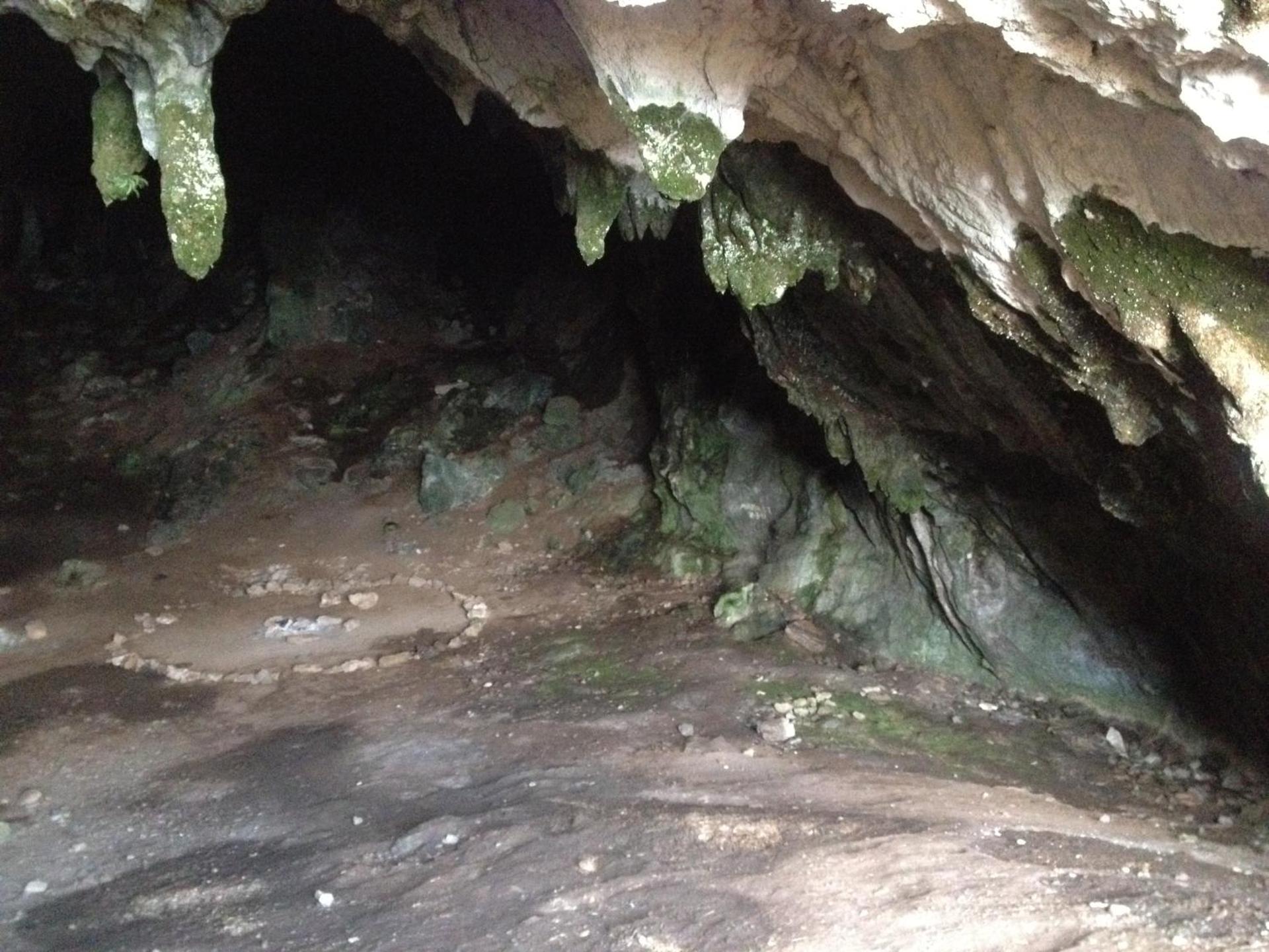 Parnassos Delphi Hotel - Photo 148