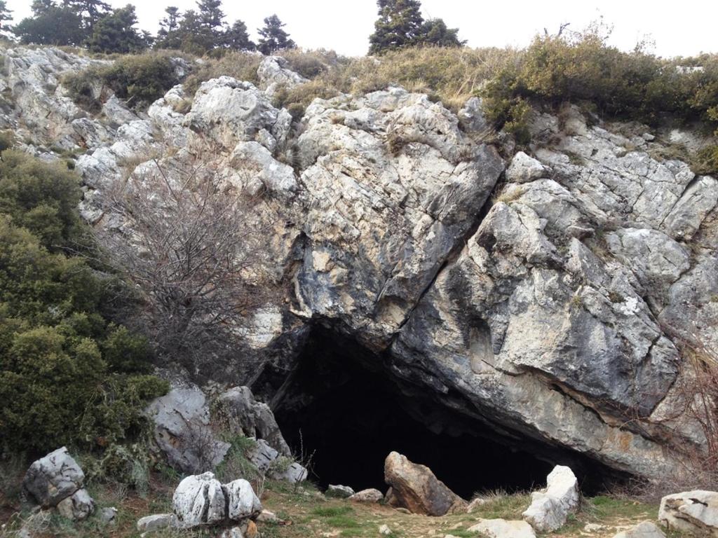 Parnassos Delphi Hotel - Photo 149