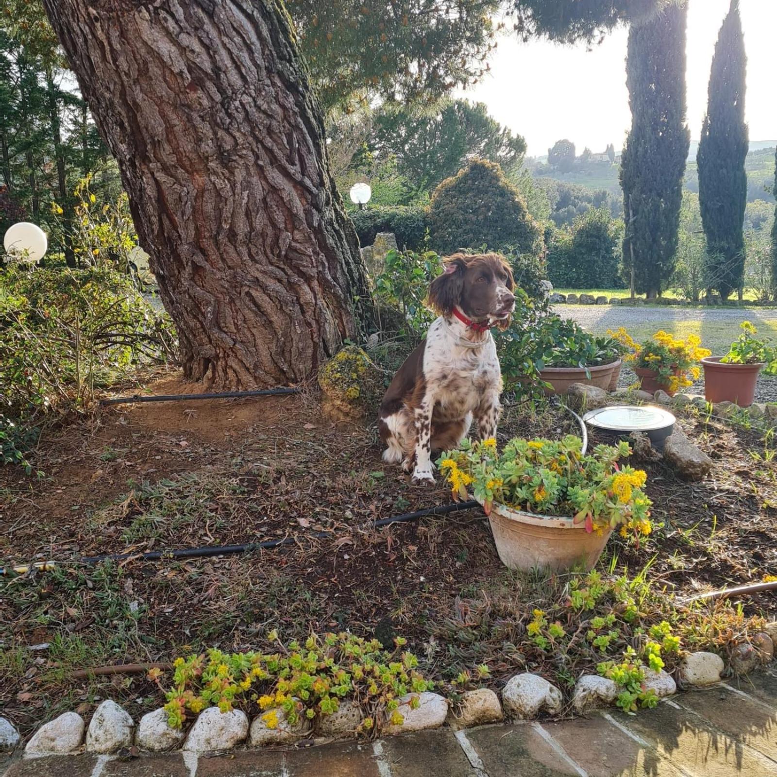 Antico Borgo Il Cardino - Photo 69
