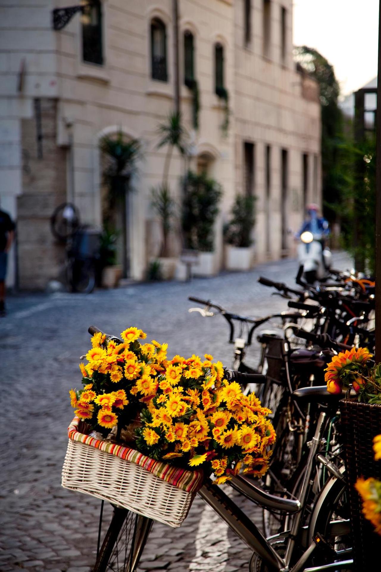 Residenza Pantaleo - Photo 24