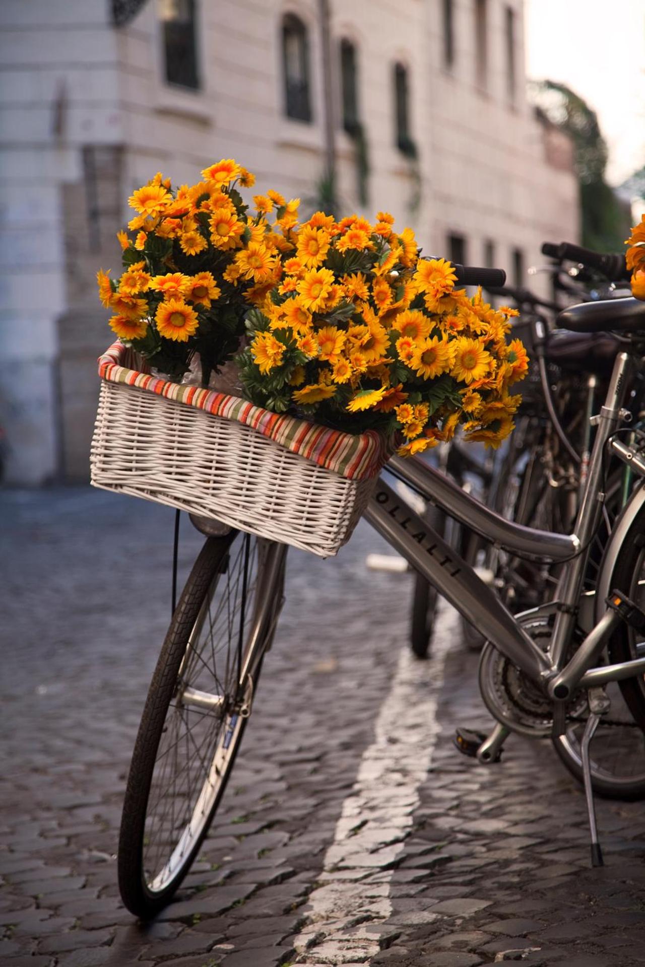 Residenza Pantaleo - Photo 38