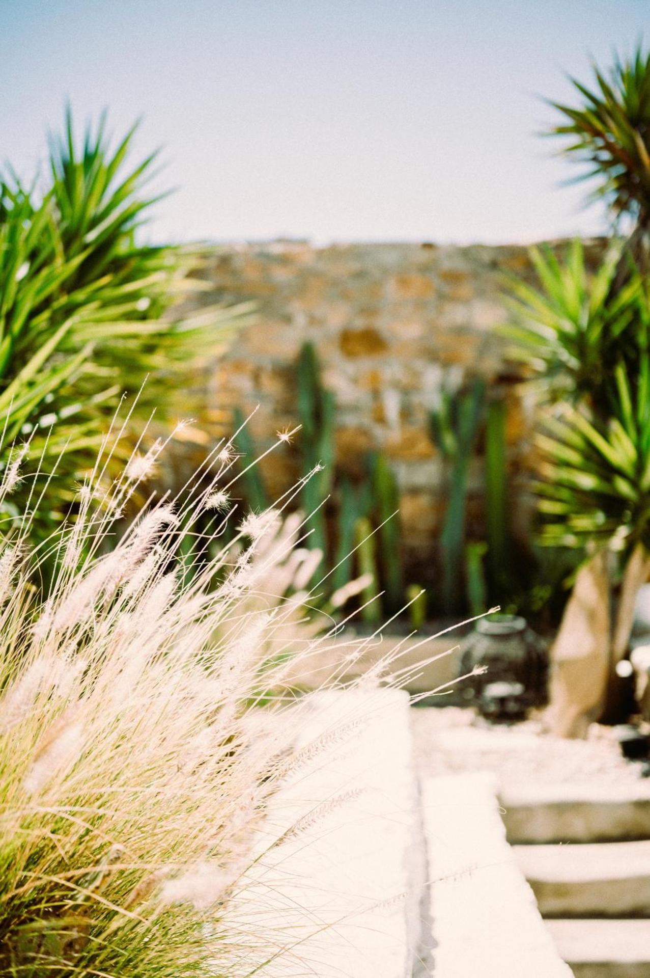 Sea Side Studios & Houses - Photo 233