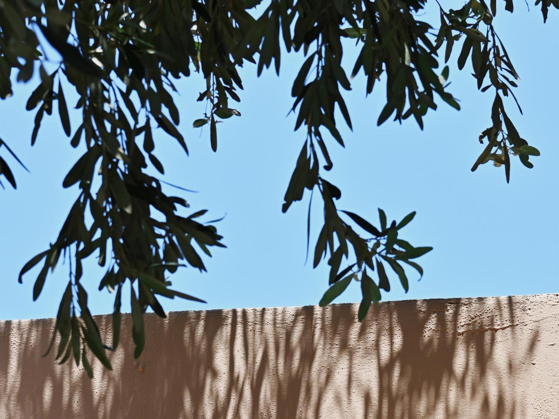 Cape Sounio, a Resort to Live - Photo 217