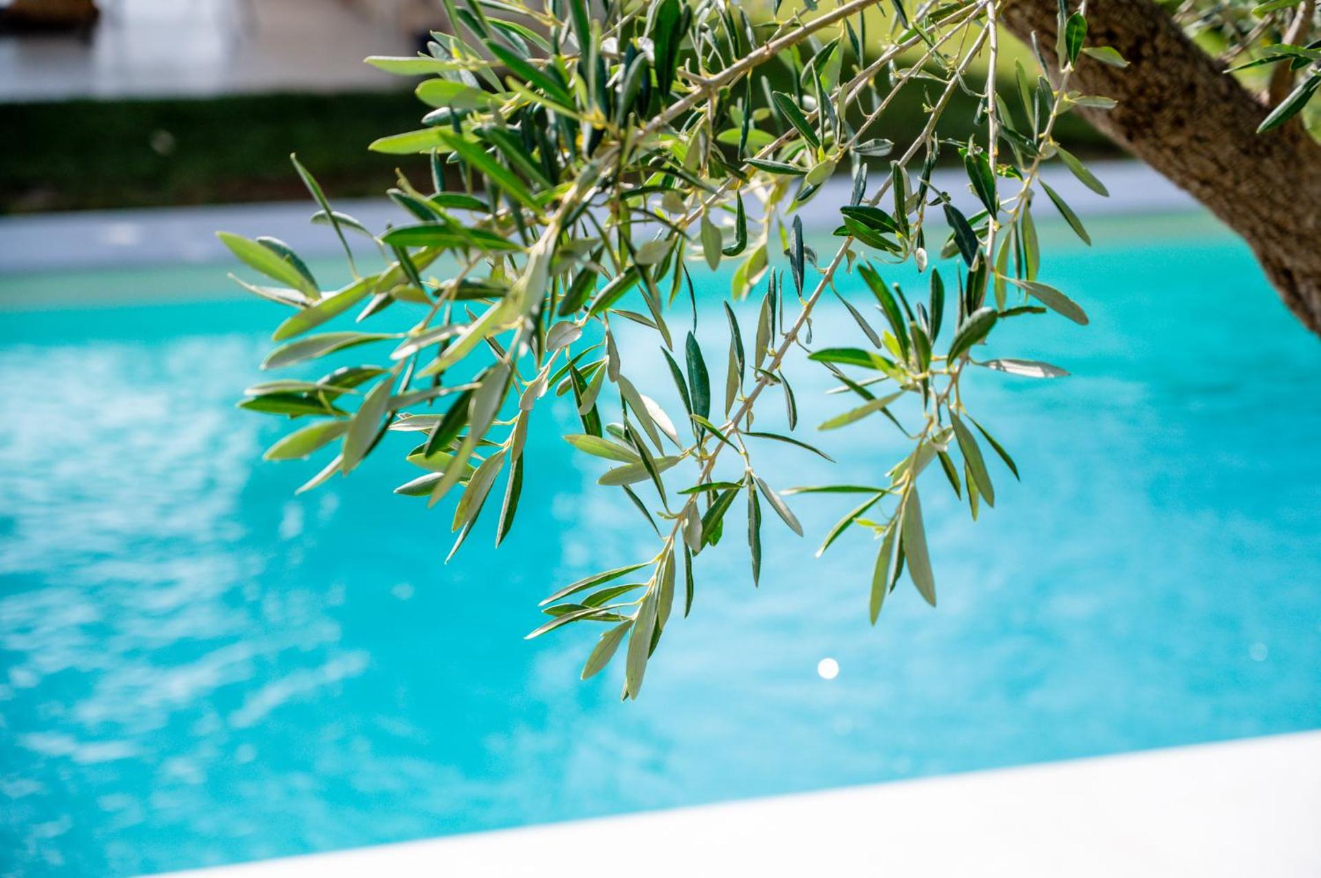 Villa Beato - Photo 16