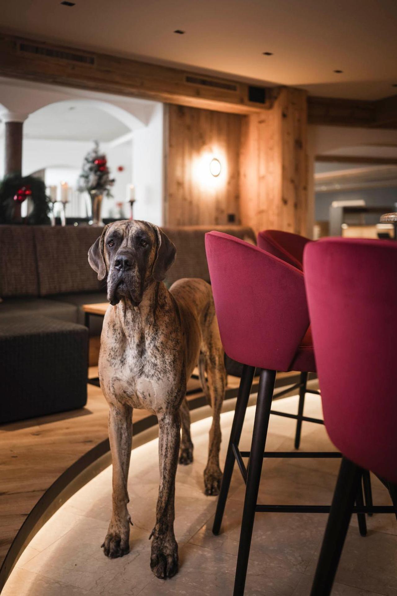 Alpenheim Charming & Spa Hotel - Photo 36