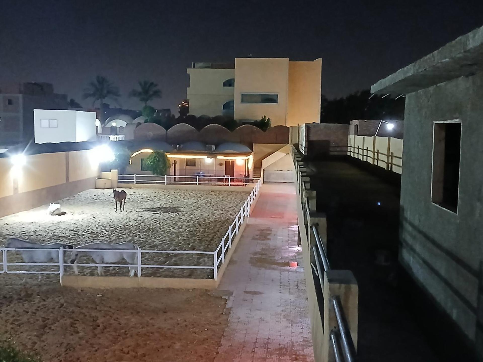 Eastern Oasis Motel & Horse Farm - Photo 65