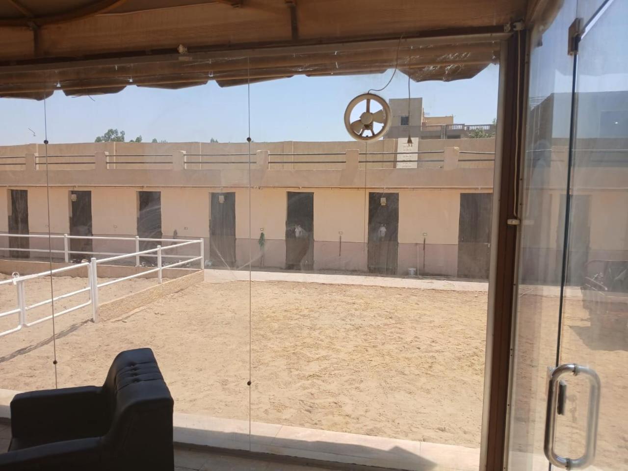 Eastern Oasis Motel & Horse Farm - Photo 38