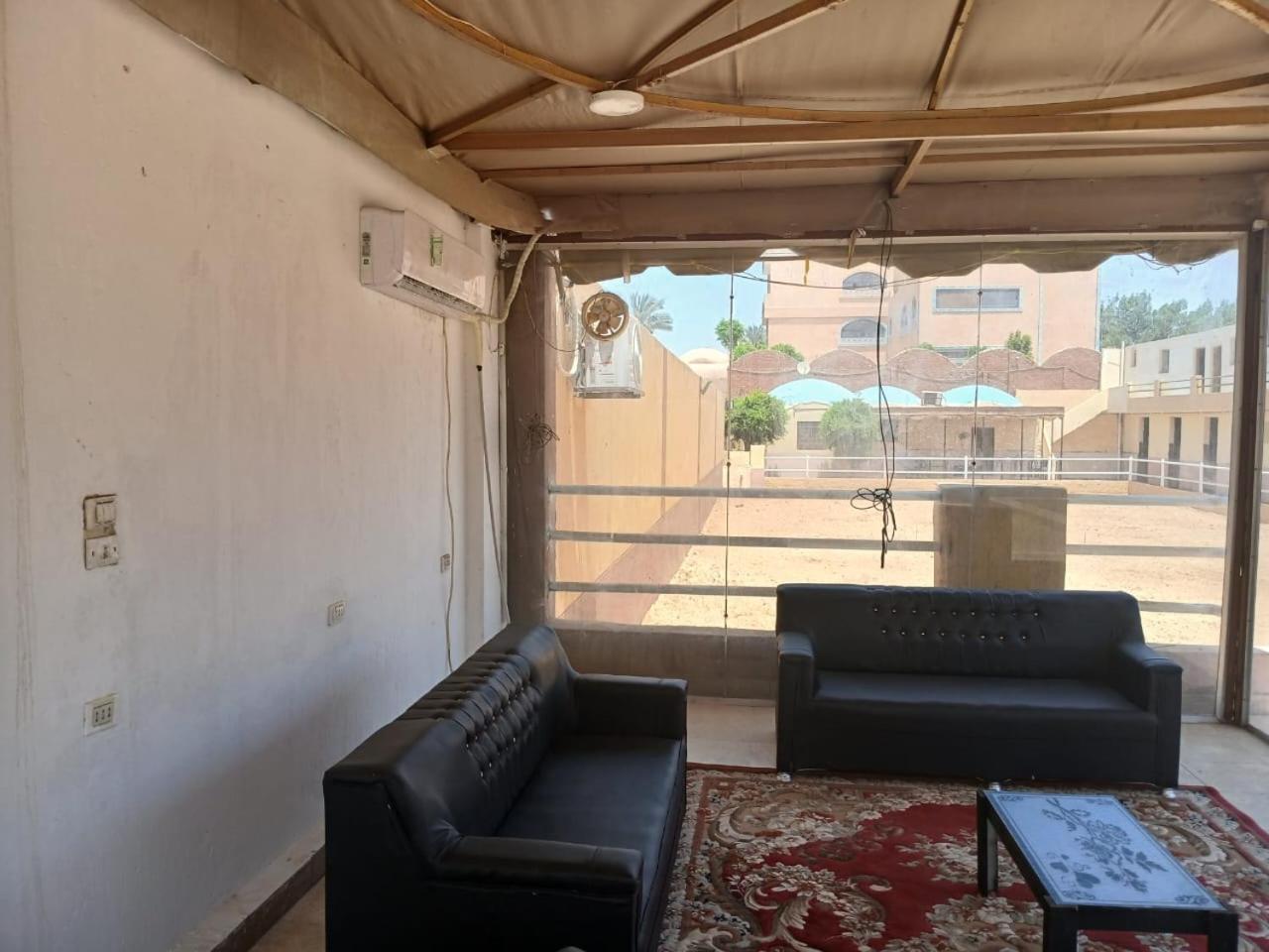 Eastern Oasis Motel & Horse Farm - Photo 31