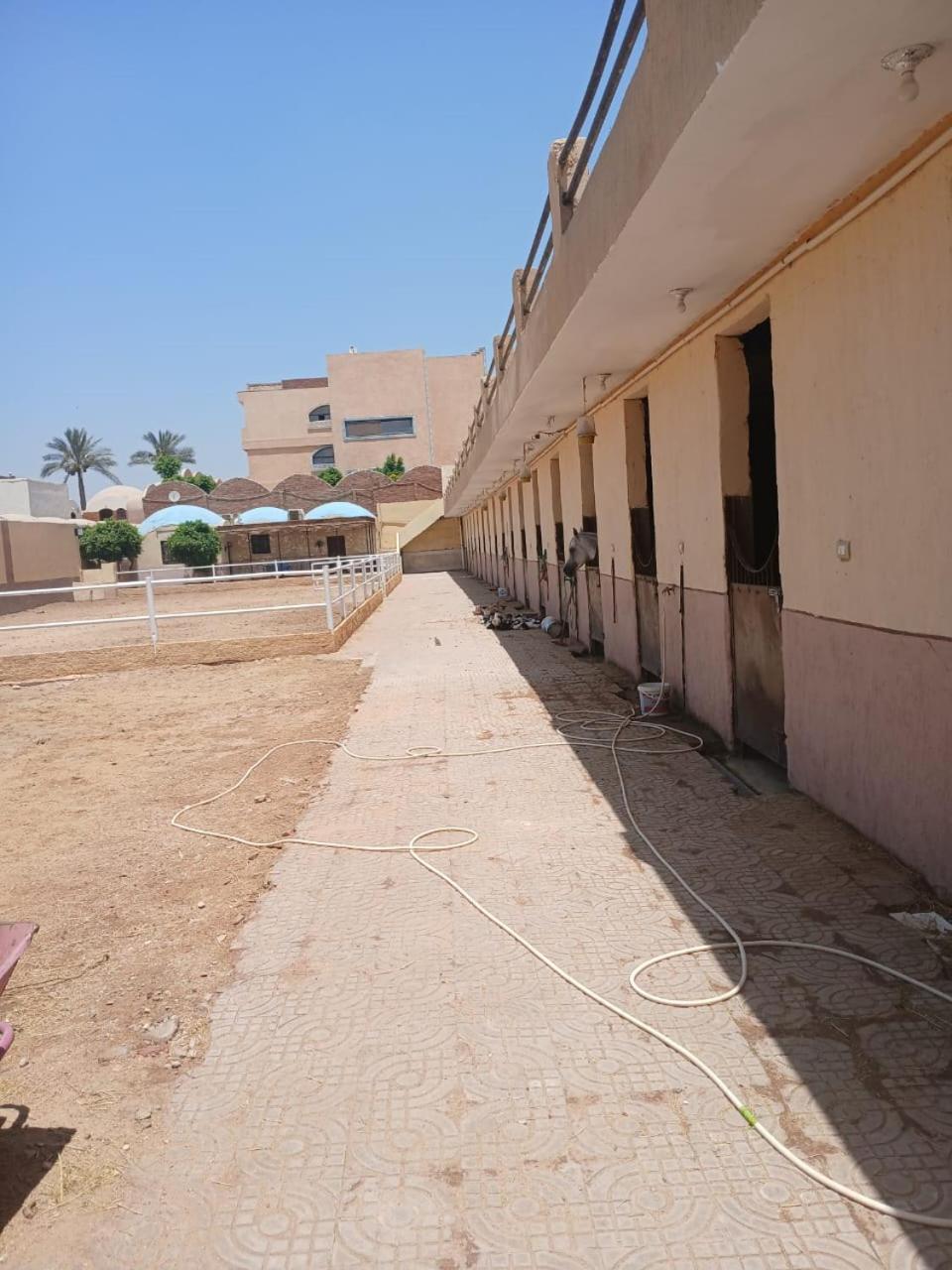 Eastern Oasis Motel & Horse Farm - Photo 25