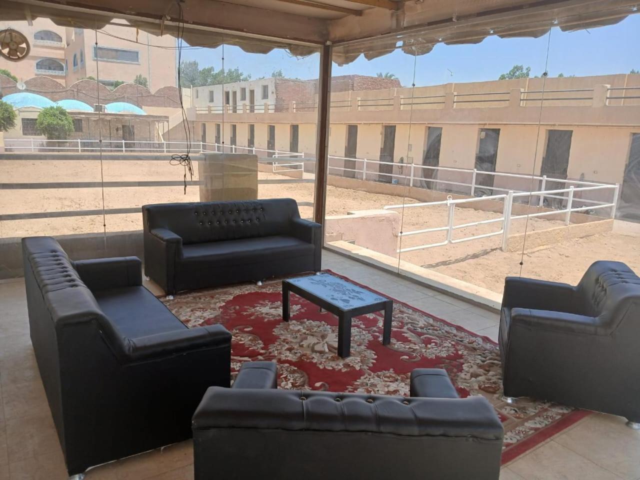 Eastern Oasis Motel & Horse Farm - Photo 20