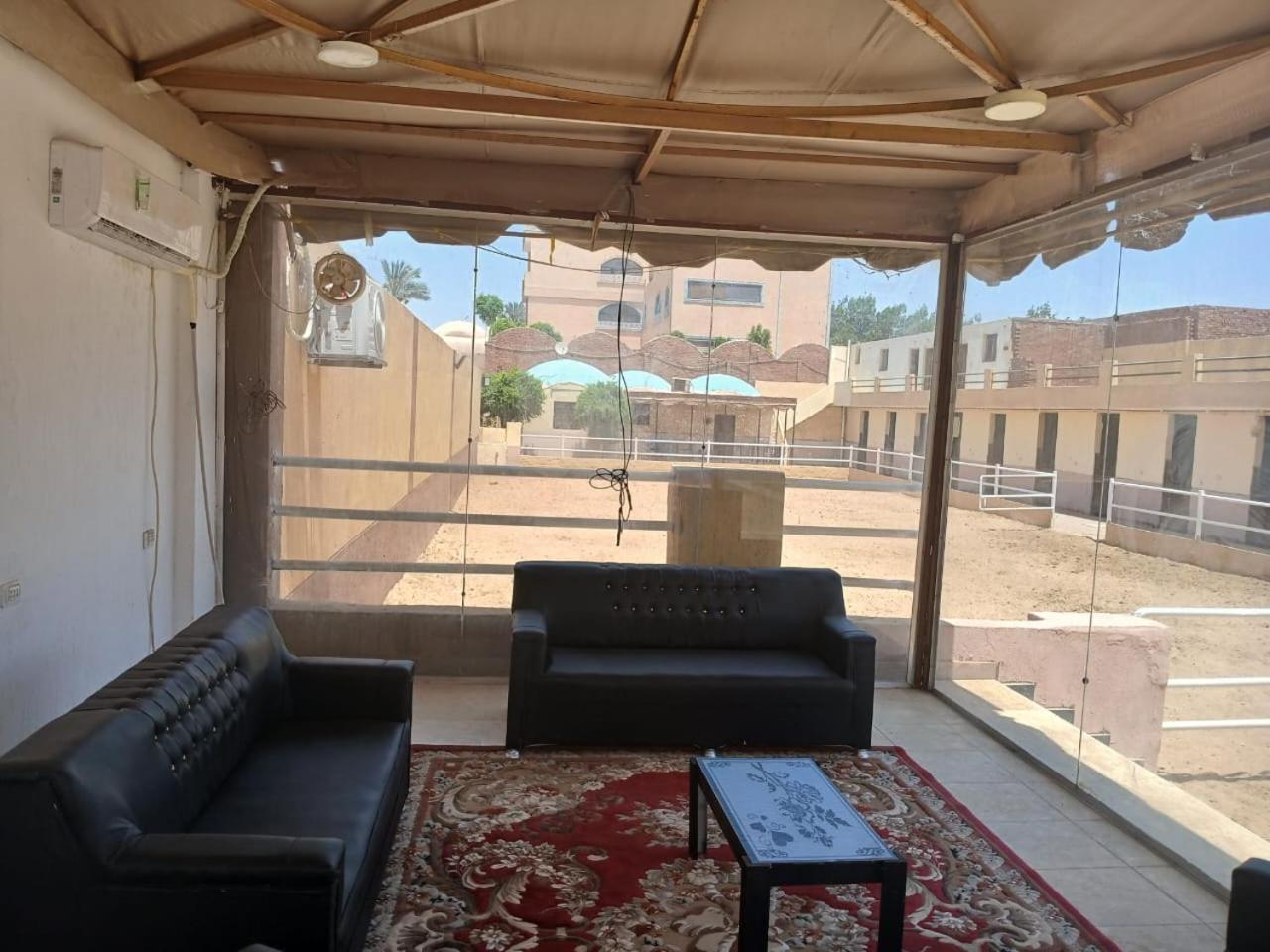 Eastern Oasis Motel & Horse Farm - Photo 21