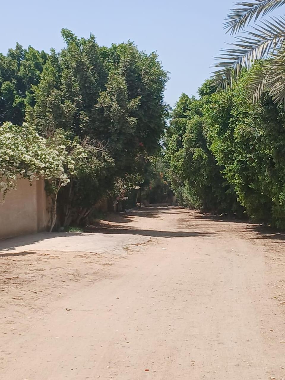 Eastern Oasis Motel & Horse Farm - Photo 17