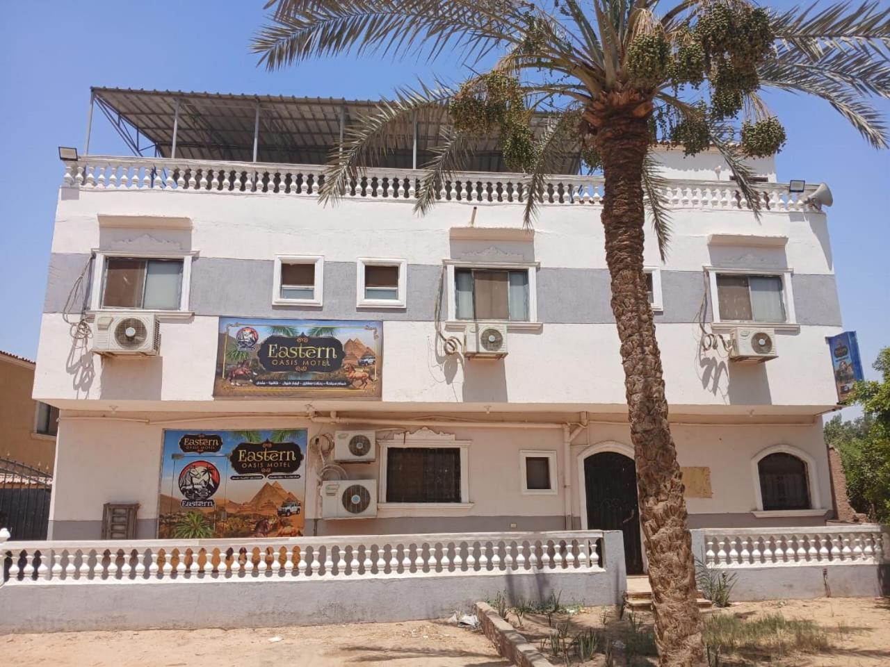 Eastern Oasis Motel & Horse Farm - Photo 15