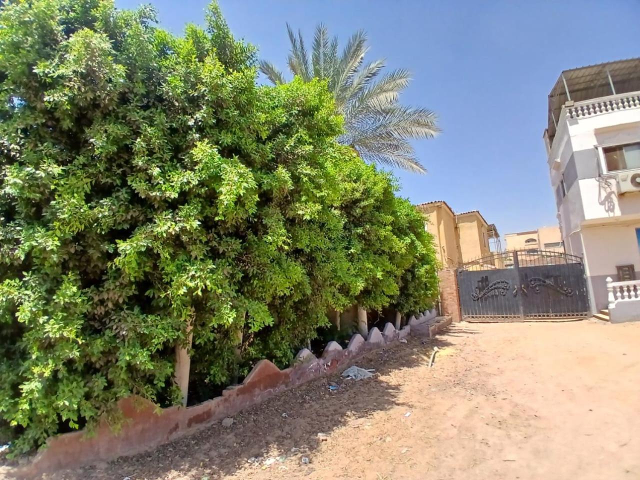 Eastern Oasis Motel & Horse Farm - Photo 12