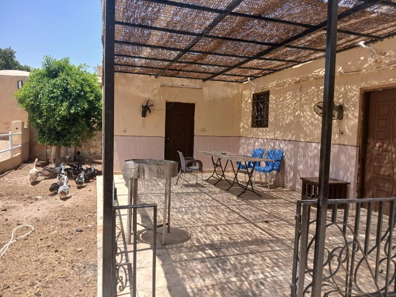 Eastern Oasis Motel & Horse Farm - Photo 62