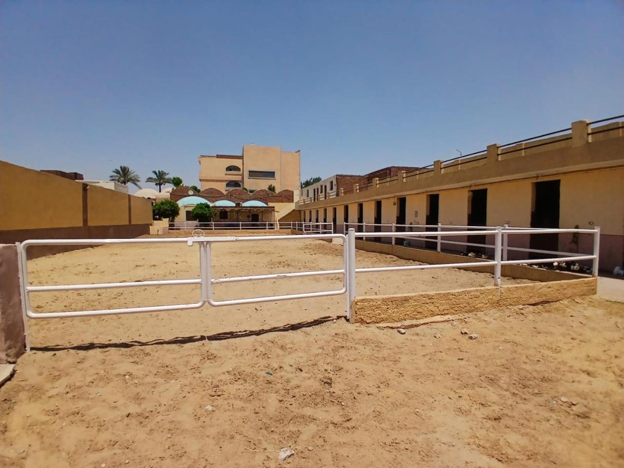 Eastern Oasis Motel & Horse Farm - Photo 77