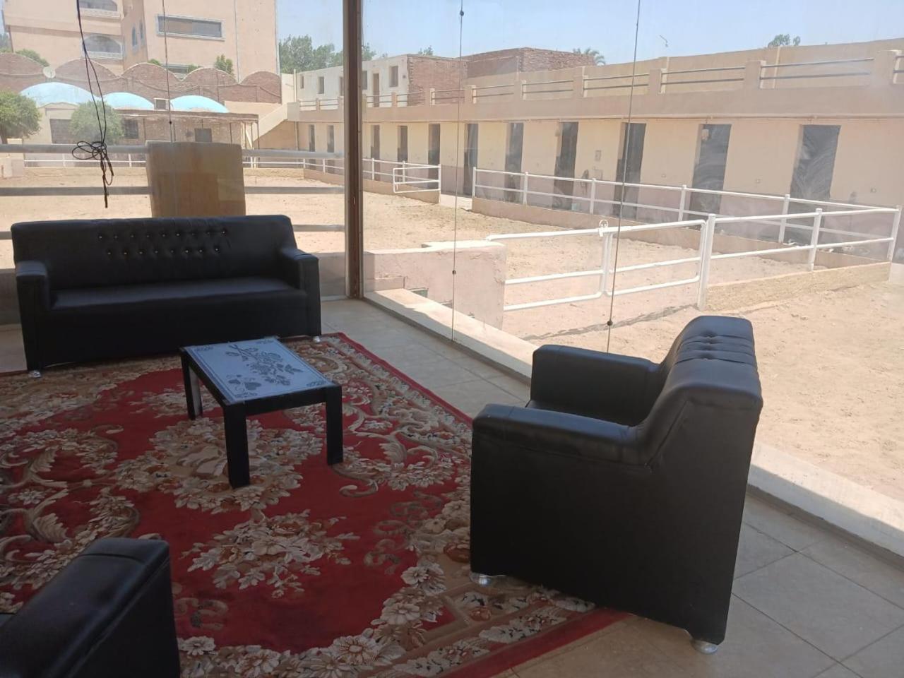 Eastern Oasis Motel & Horse Farm - Photo 2