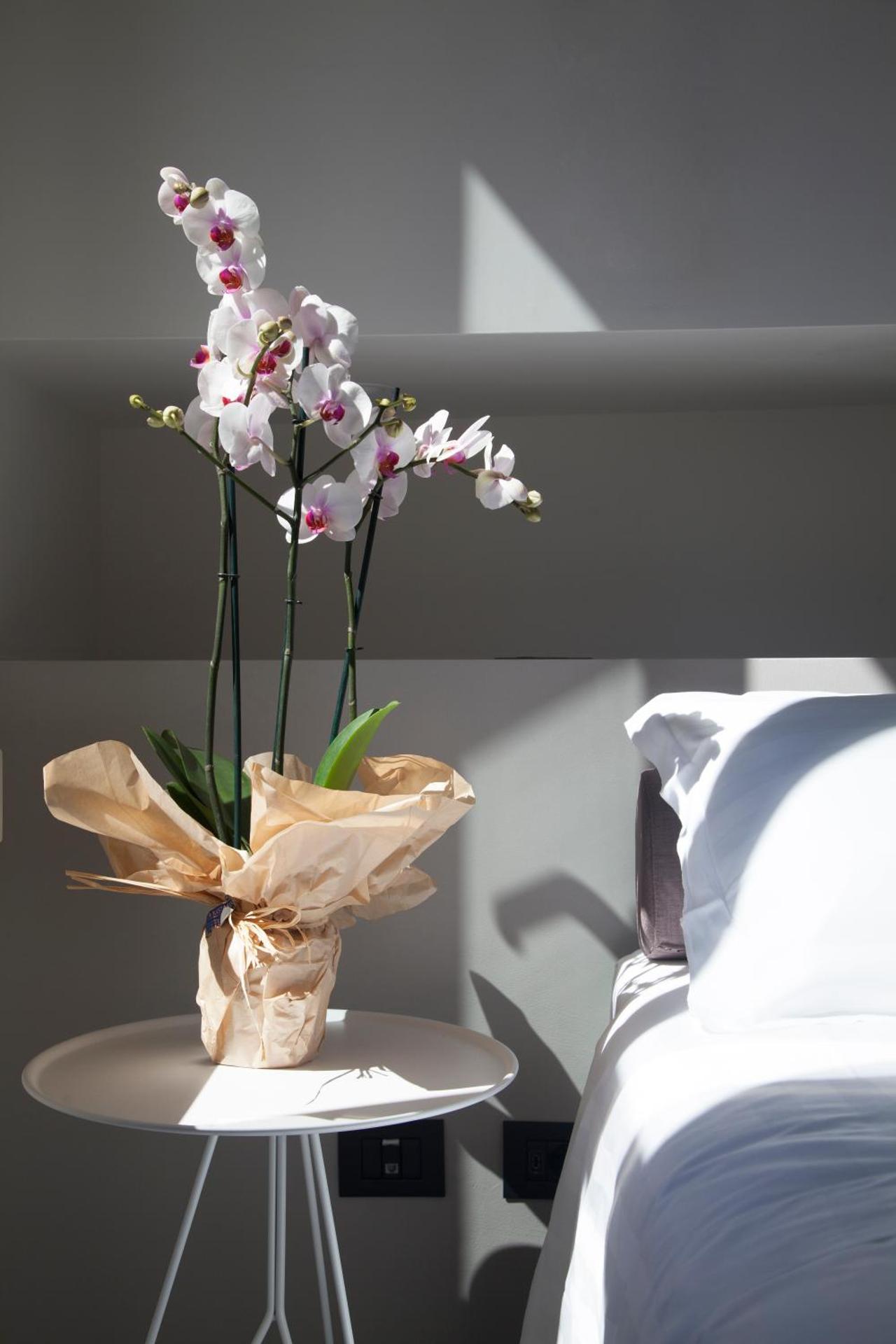 Residenza Pantaleo - Photo 90