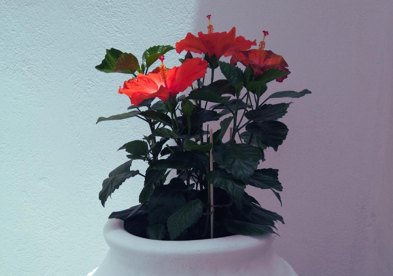 Haroto Suites - Photo 42