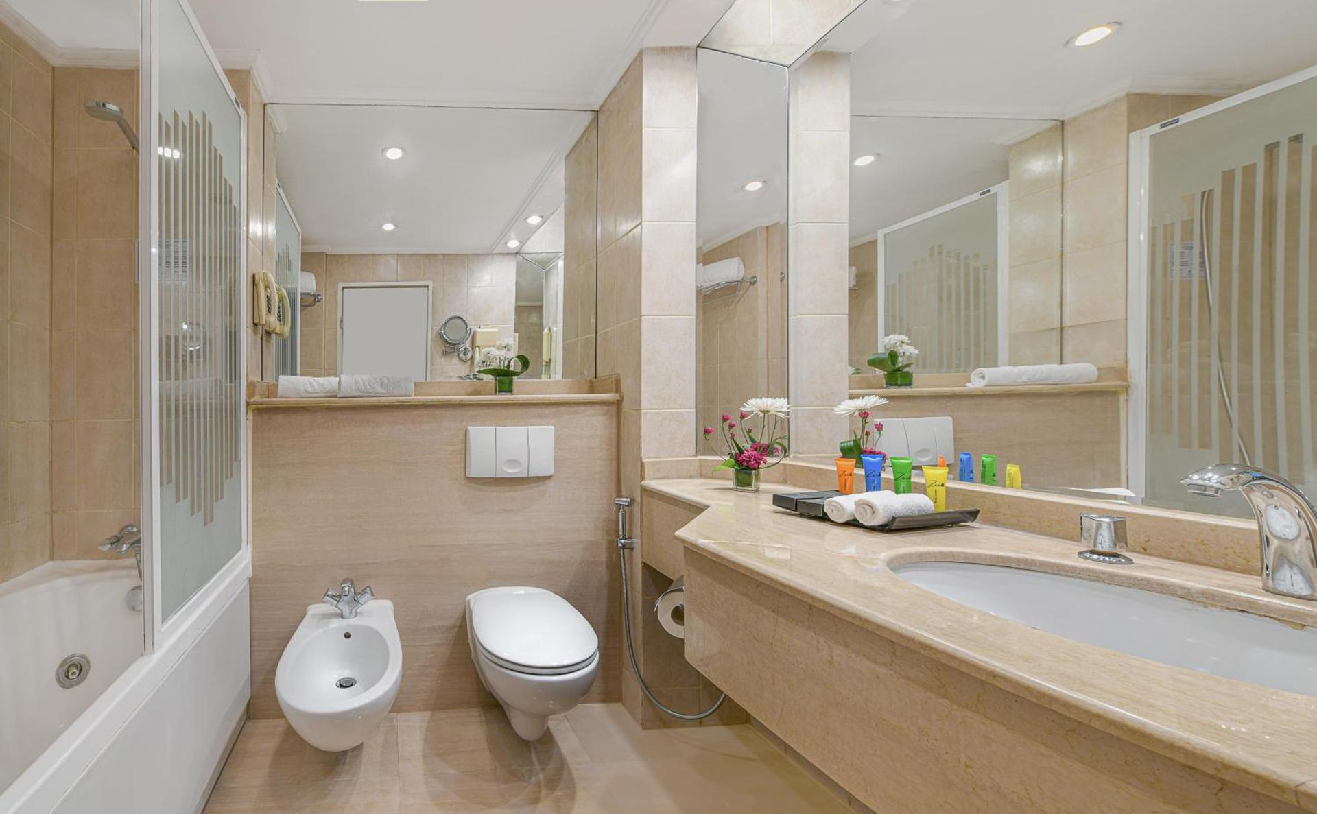 Sonesta Hotel Tower & Casino Cairo - Photo 9