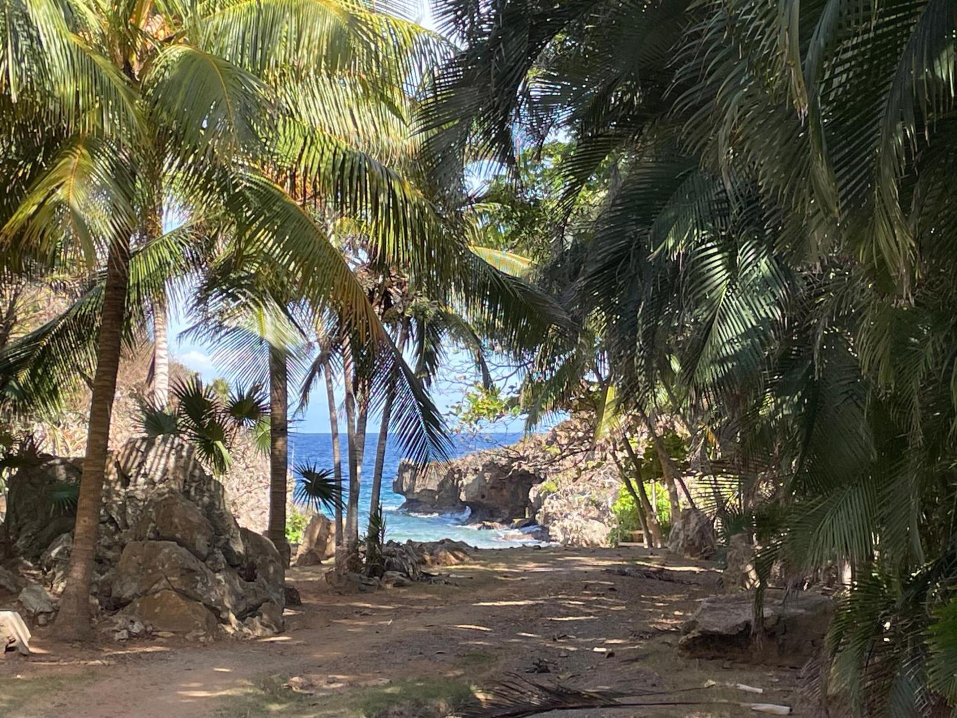 La Colina - 3 Bedrooms - Photo 4