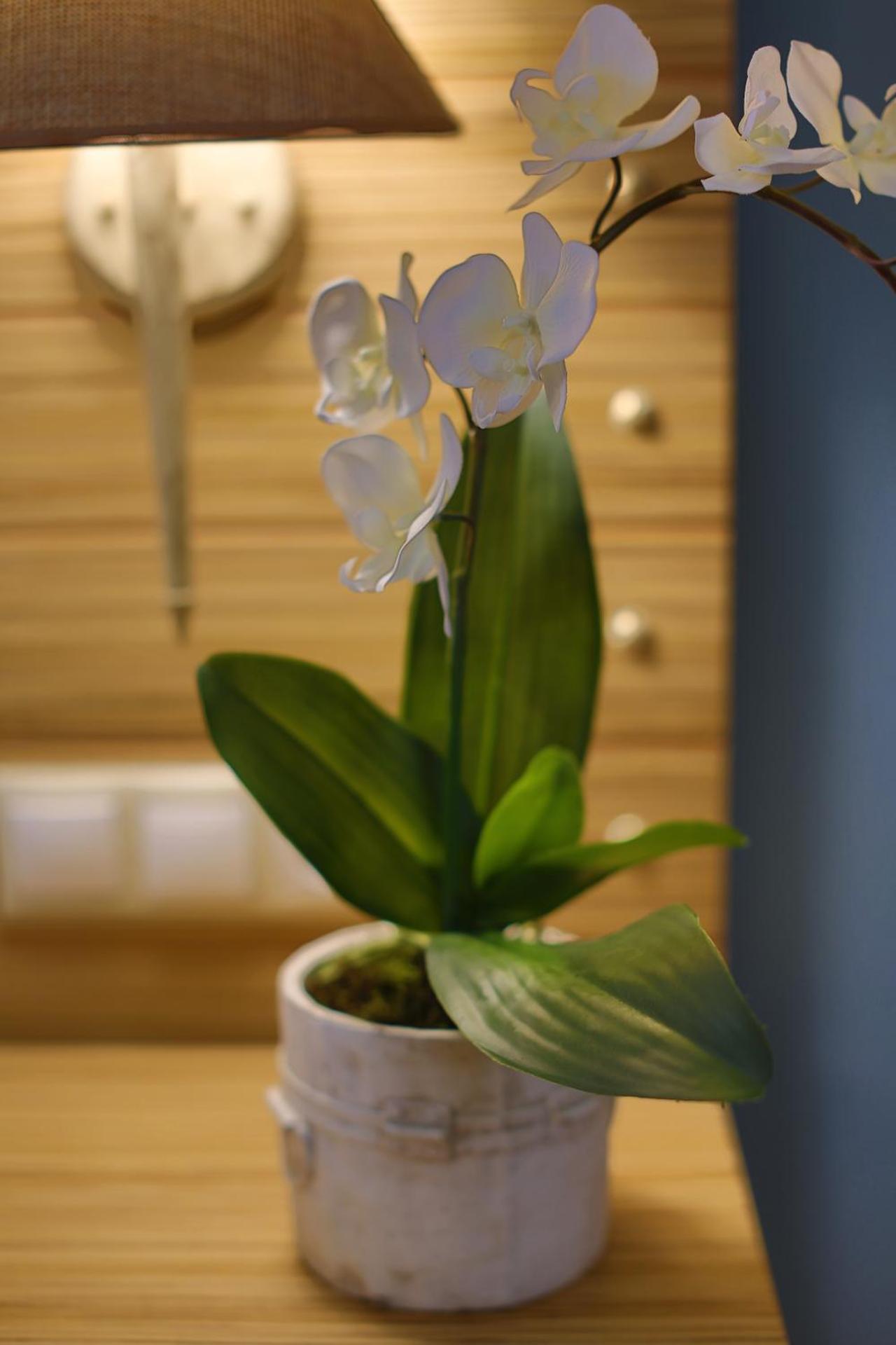 Dolphin Bay Seaside Resort & Suites - Photo 65