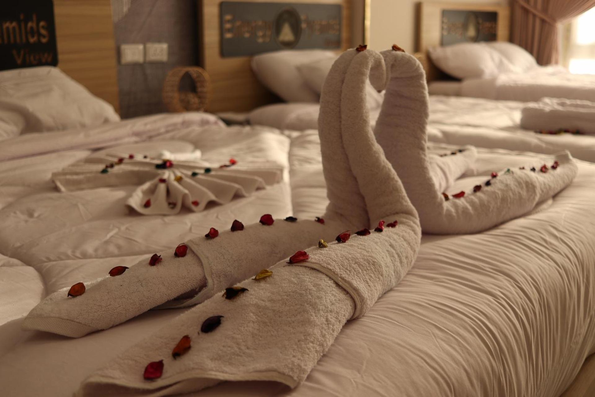 Energy Pyramids View - Photo 58