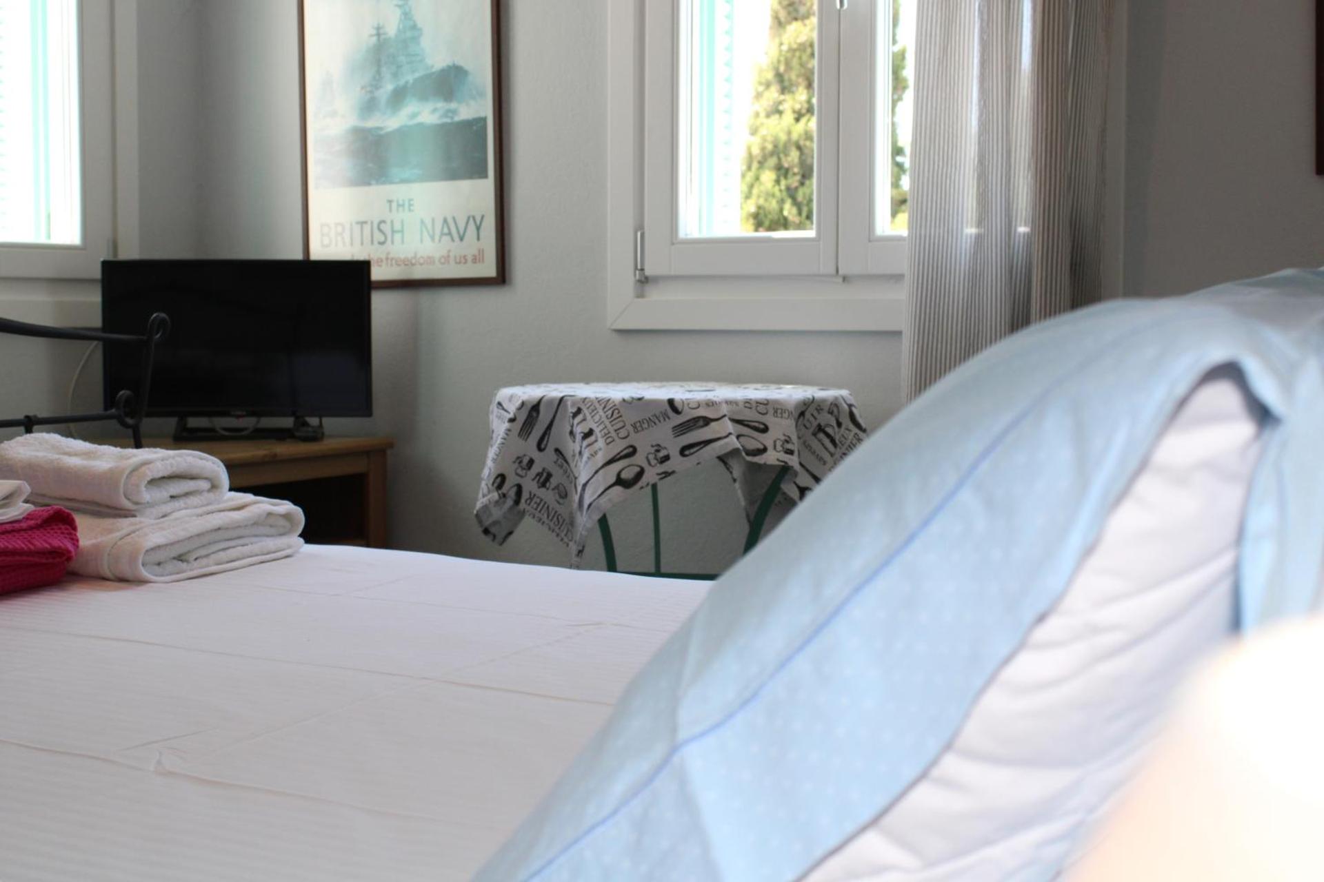 Blue Dolphin - Photo 100