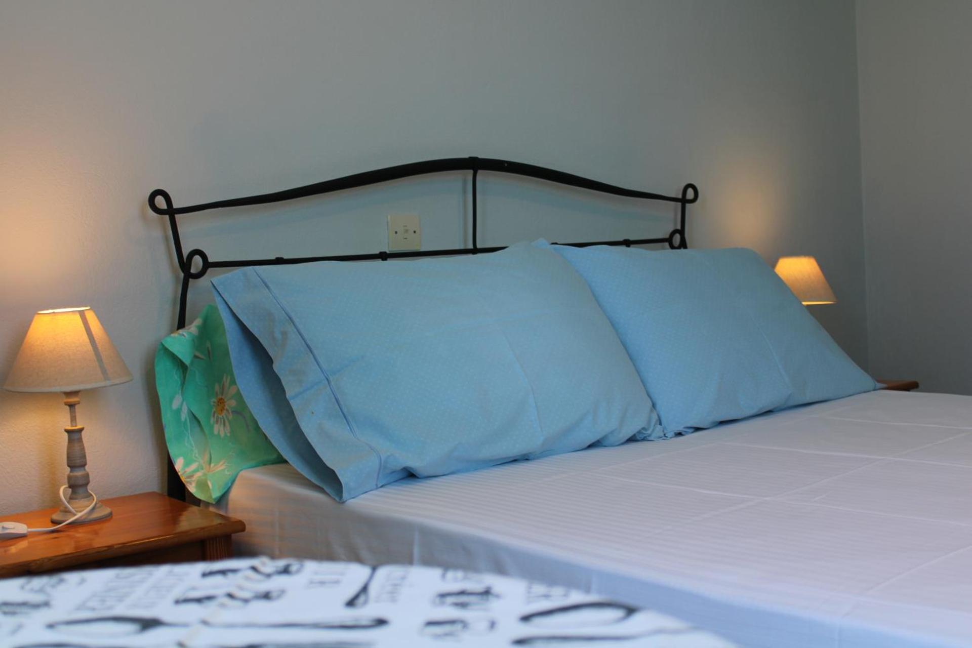 Blue Dolphin - Photo 107