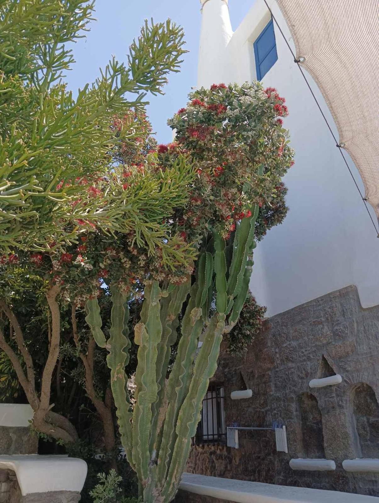 Mykonian Iros Suites & Villas - Photo 271