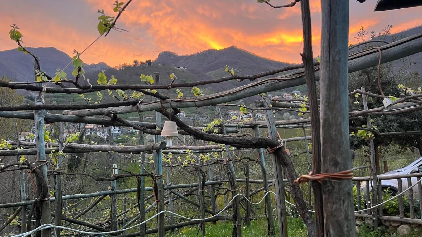 Agriturismo Il Tintore - Photo 5