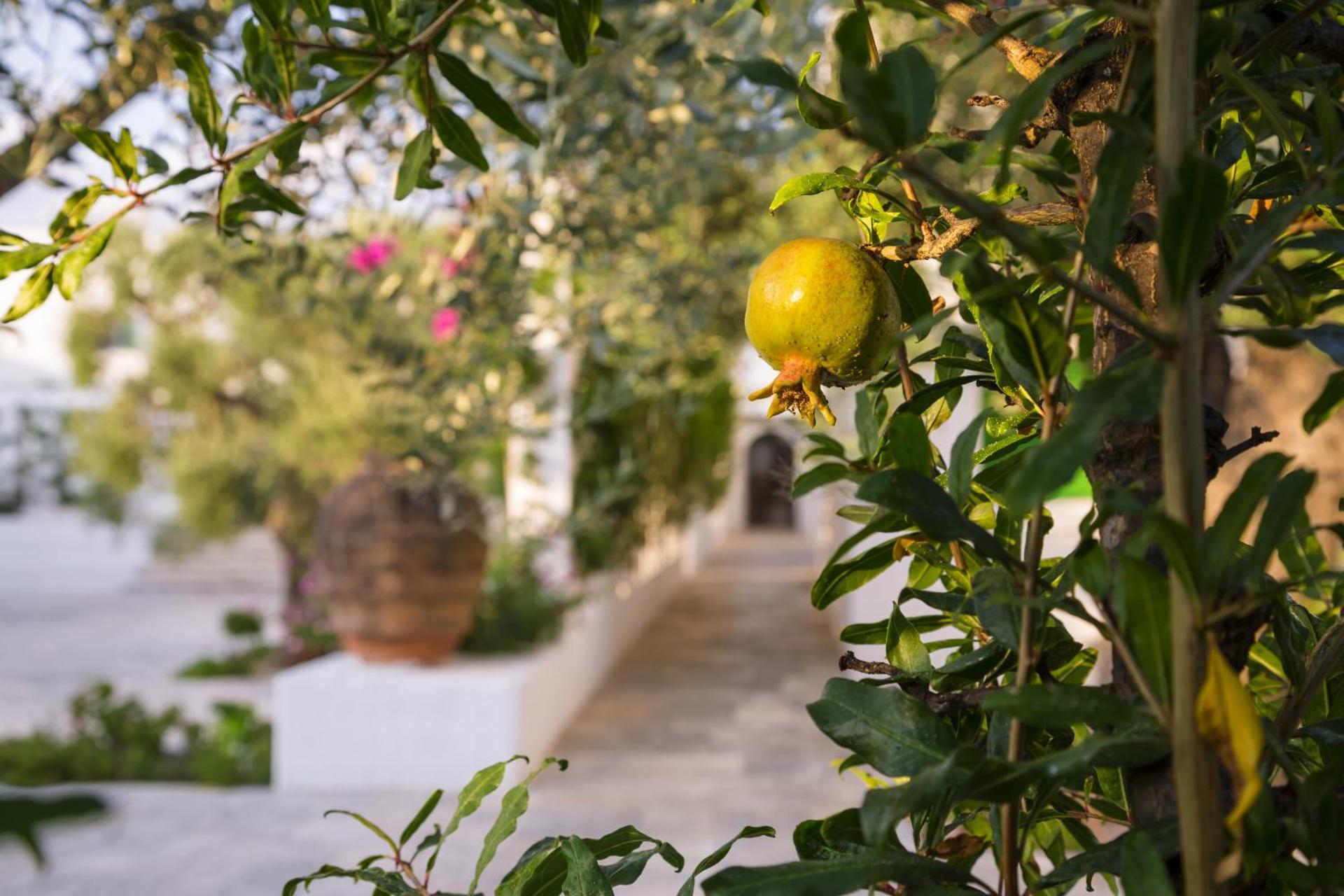 Masseria Il Melograno - Photo 85