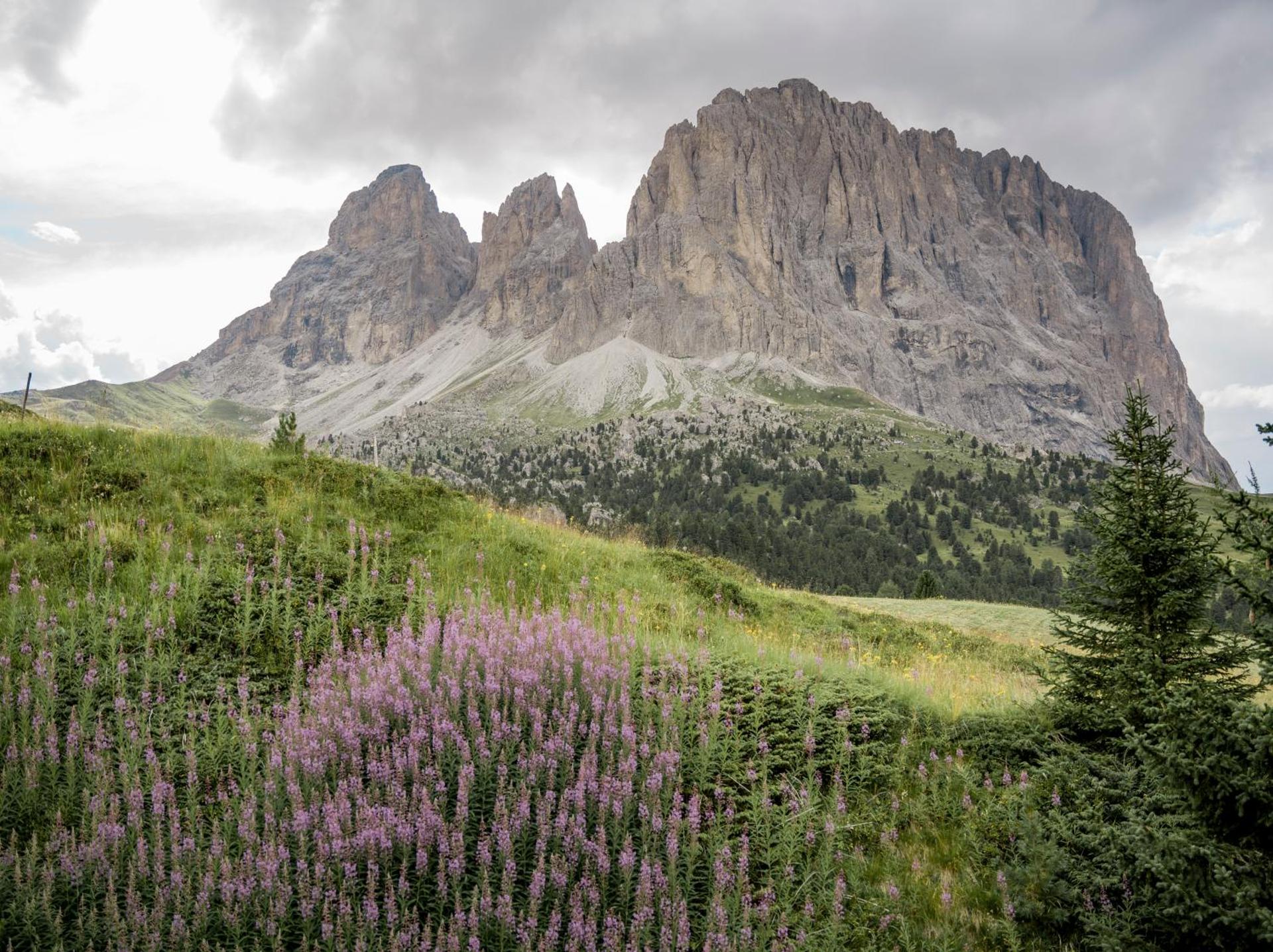 Charme Hotel Uridl - Photo 97