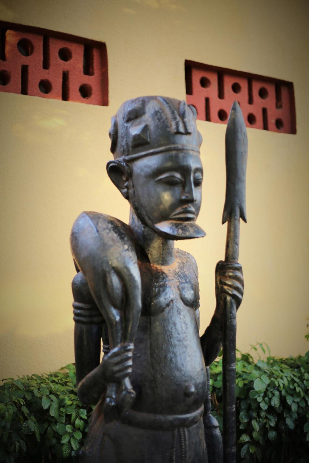 Le Baobab - Photo 14